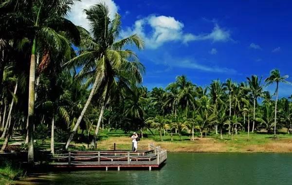 海南最受欢迎的旅游景点是哪个？