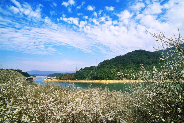 广州市流溪河国家森林公园的特产介绍