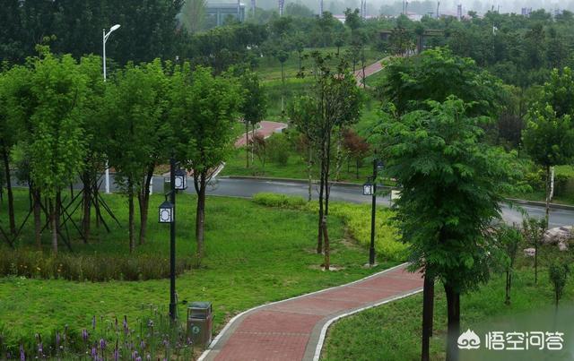 郑州有哪些值得一去的公园？