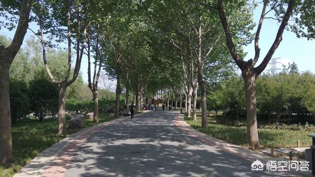 郑州有哪些值得一去的公园？