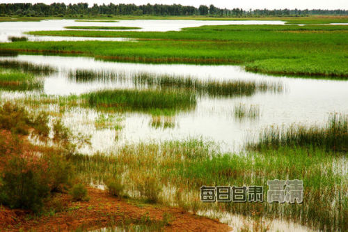 张掖国家湿地公园的介绍