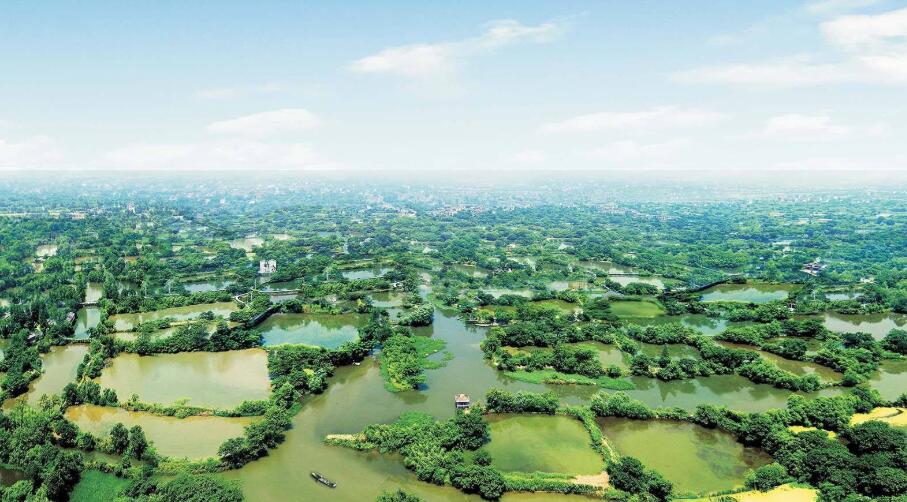 杭州西溪湿地公园船票多少钱？