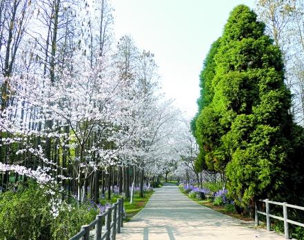 上海有哪些有特色的公园？