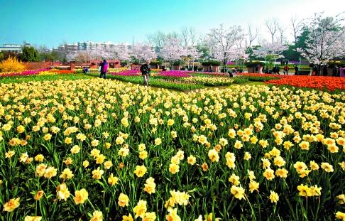 上海有哪些有特色的公园？