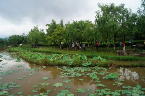 中国湿地公园的中国湿地公园名录