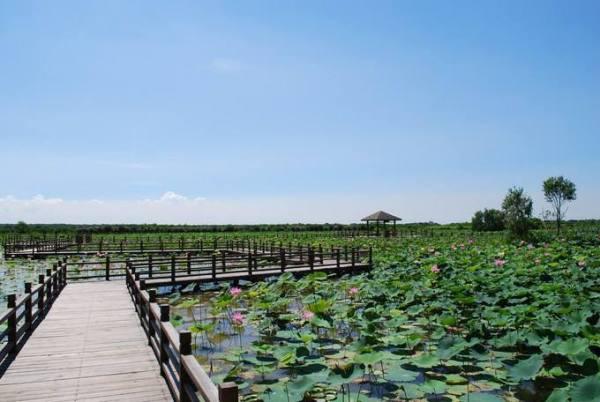 广州海珠湖就是海珠湿地公园吗