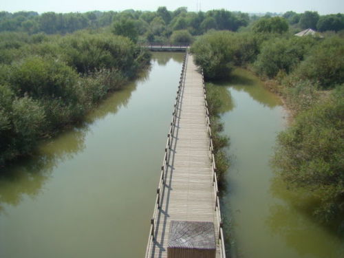 郑州黄河国家湿地公园的项目状况