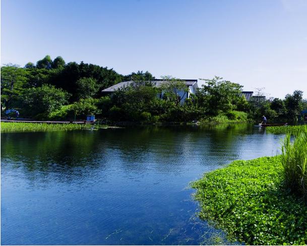 广州海珠湿地公园好玩嘛？