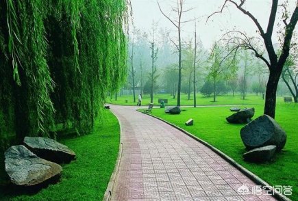 从凤城五路文景路怎么去渭河湿地公园？