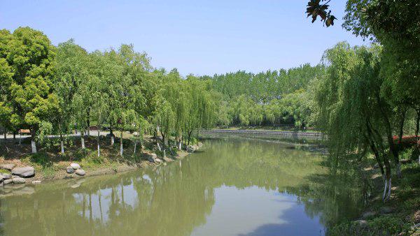 南京七桥瓮生态湿地公园的景区介绍