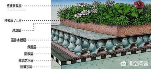 想做一个屋顶花园，应该注意些什么？