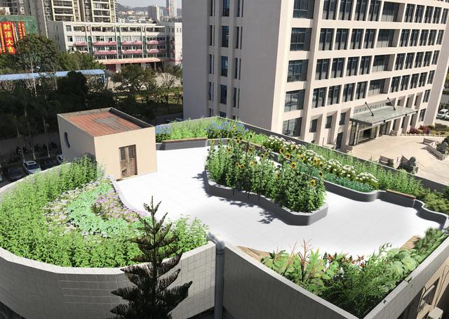 屋顶想设计成一个花园，如图，求大神给个好的设计方案？
