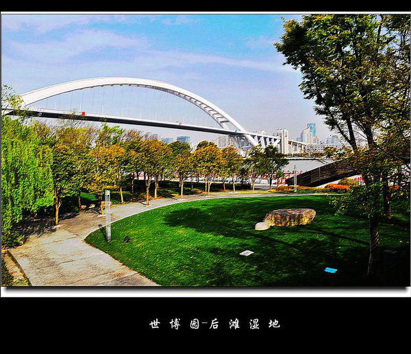 上海世博后滩湿地公园的介绍