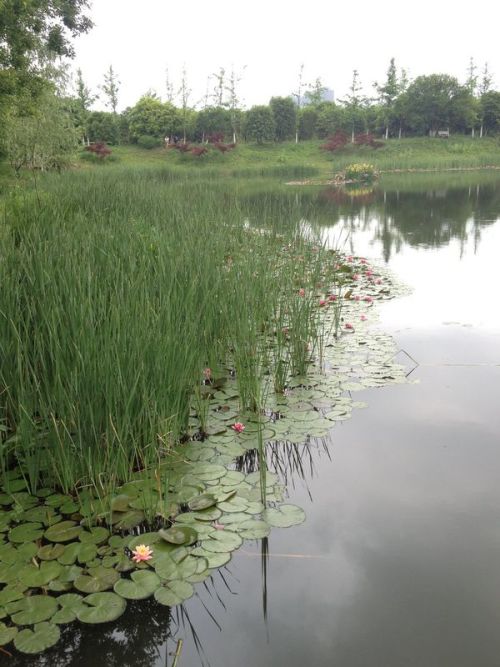 2014年湖北省新建多少个湿地公园