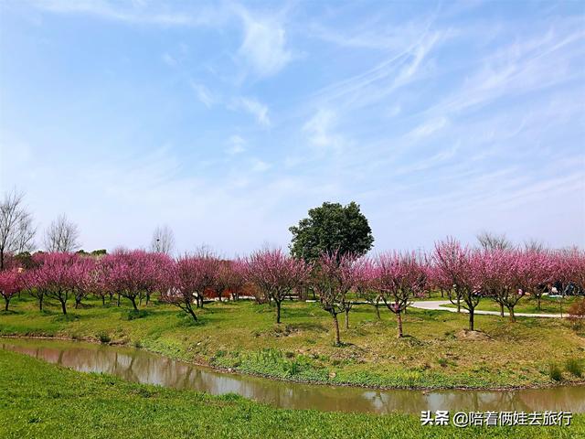 上海3、4月份去哪里最能感受到春天的气息，大家有没有好的地方推荐，谢谢？