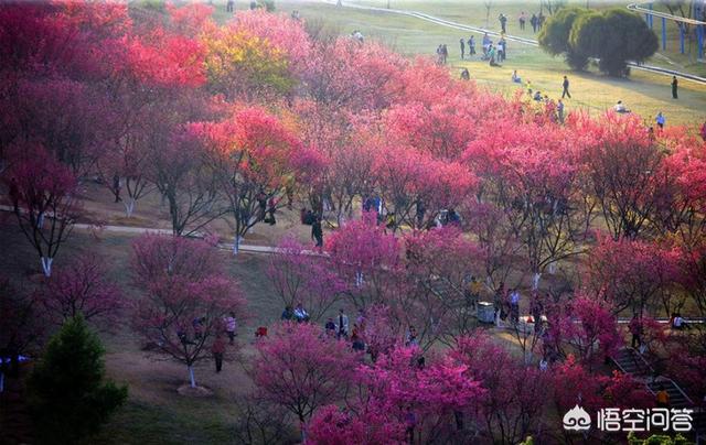 网红南宁“石门”森林公园风景真的如网上传的一样漂亮吗？