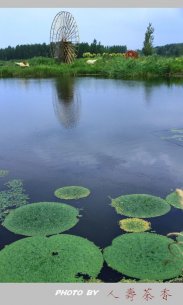 蒲河国家湿地公园的公园特点
