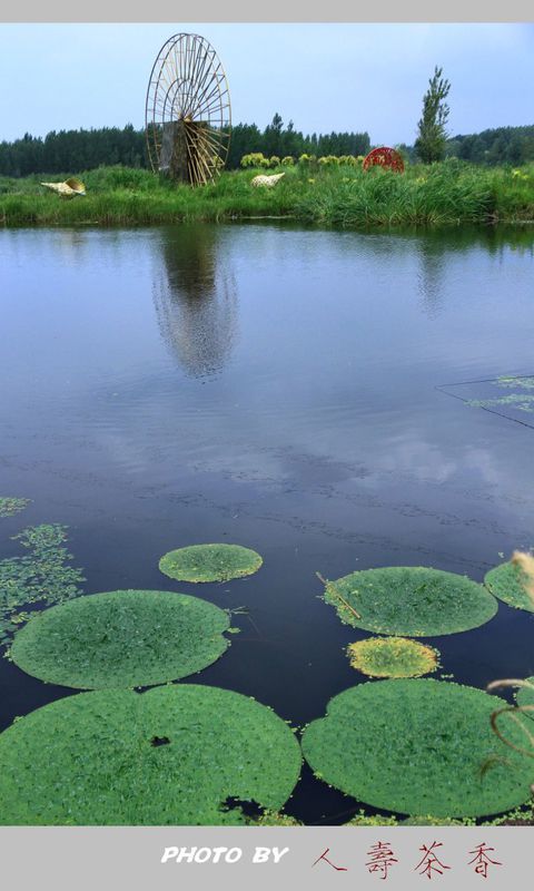 蒲河国家湿地公园的公园特点