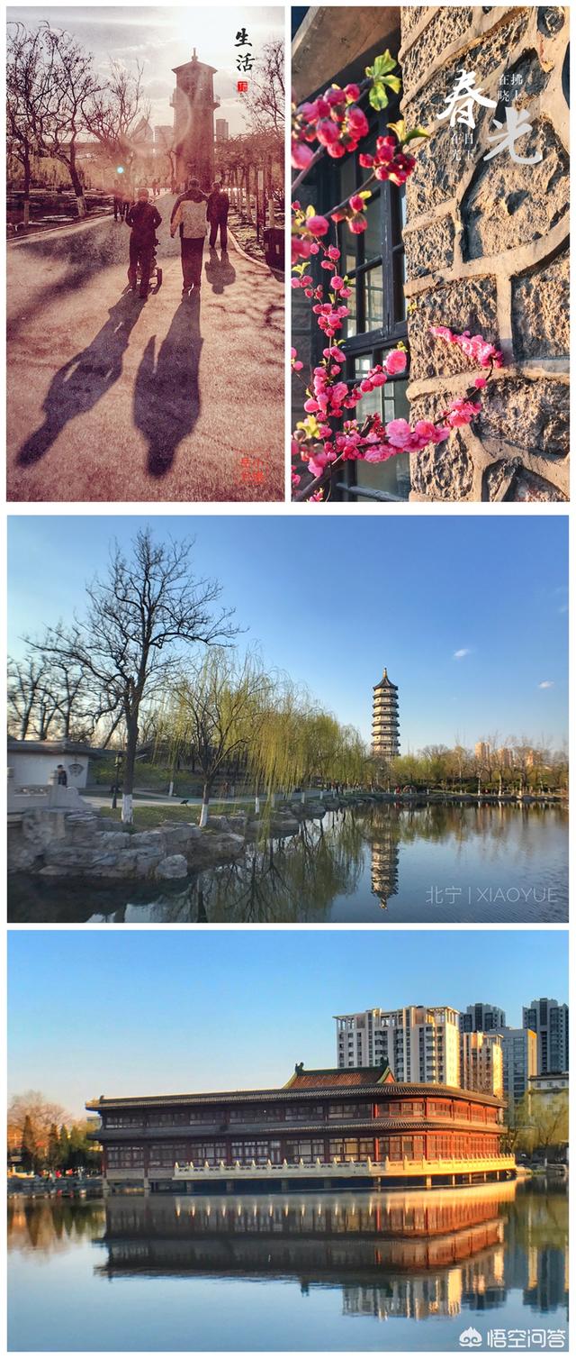 天津风景宜人值得去的免费公园，都有哪些？