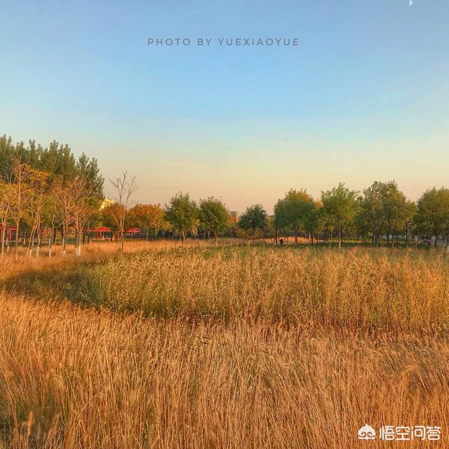 天津哪里可以观赏秋天美景？
