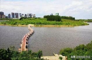 哈尔滨市滨江湿地景观大道什么时候能修？