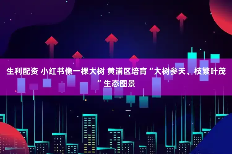 生利配资 小红书像一棵大树 黄浦区培育“大树参天、枝繁叶茂”生态图景