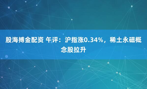 股海搏金配资 午评：沪指涨0.34%，稀土永磁概念股拉升